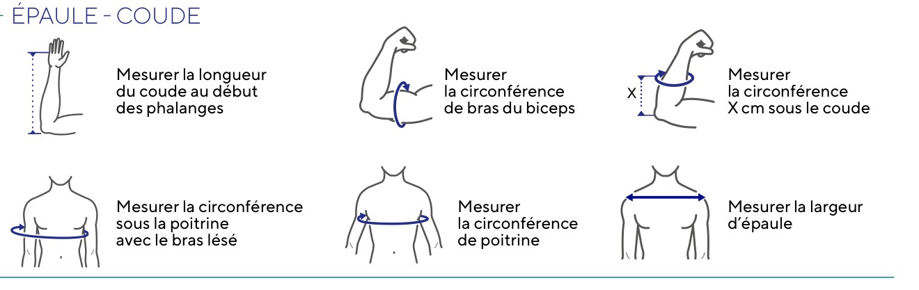 Mesurer la circonférence du bras, sous la poitrine, la largeur d’épaule et la longueur coude–phalanges