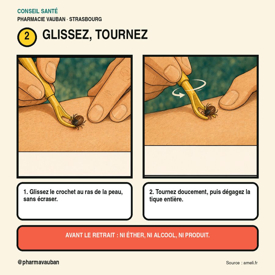 Le geste du tire-tique : glisser le crochet au ras de la peau puis tourner doucement, sans produit avant le retrait