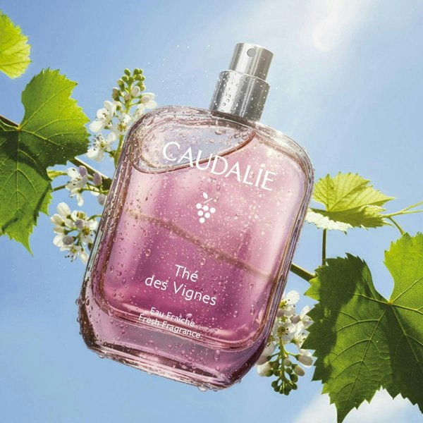 Eau Fraîche Thé des Vignes