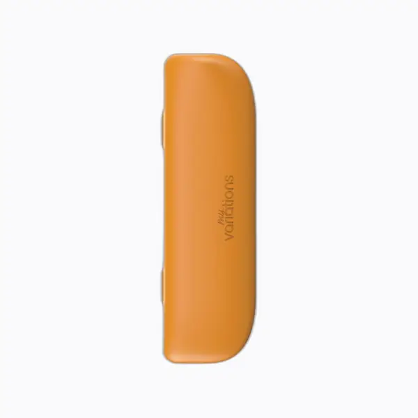 Étui de voyage pour brosse à dents My Variations Kids — tigre