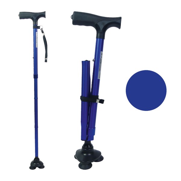 Canne stabilicane bleu identite