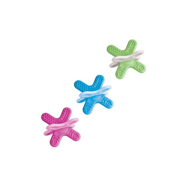 Anneau dentition mam mini phase 2