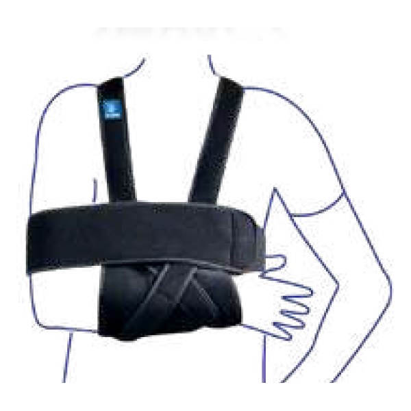 Le Gilet
