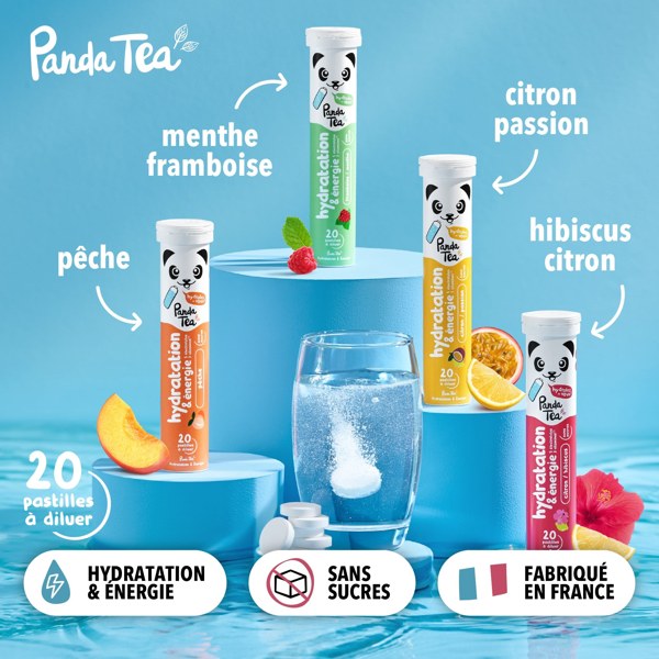 Panda tea hydr&energ peche x20